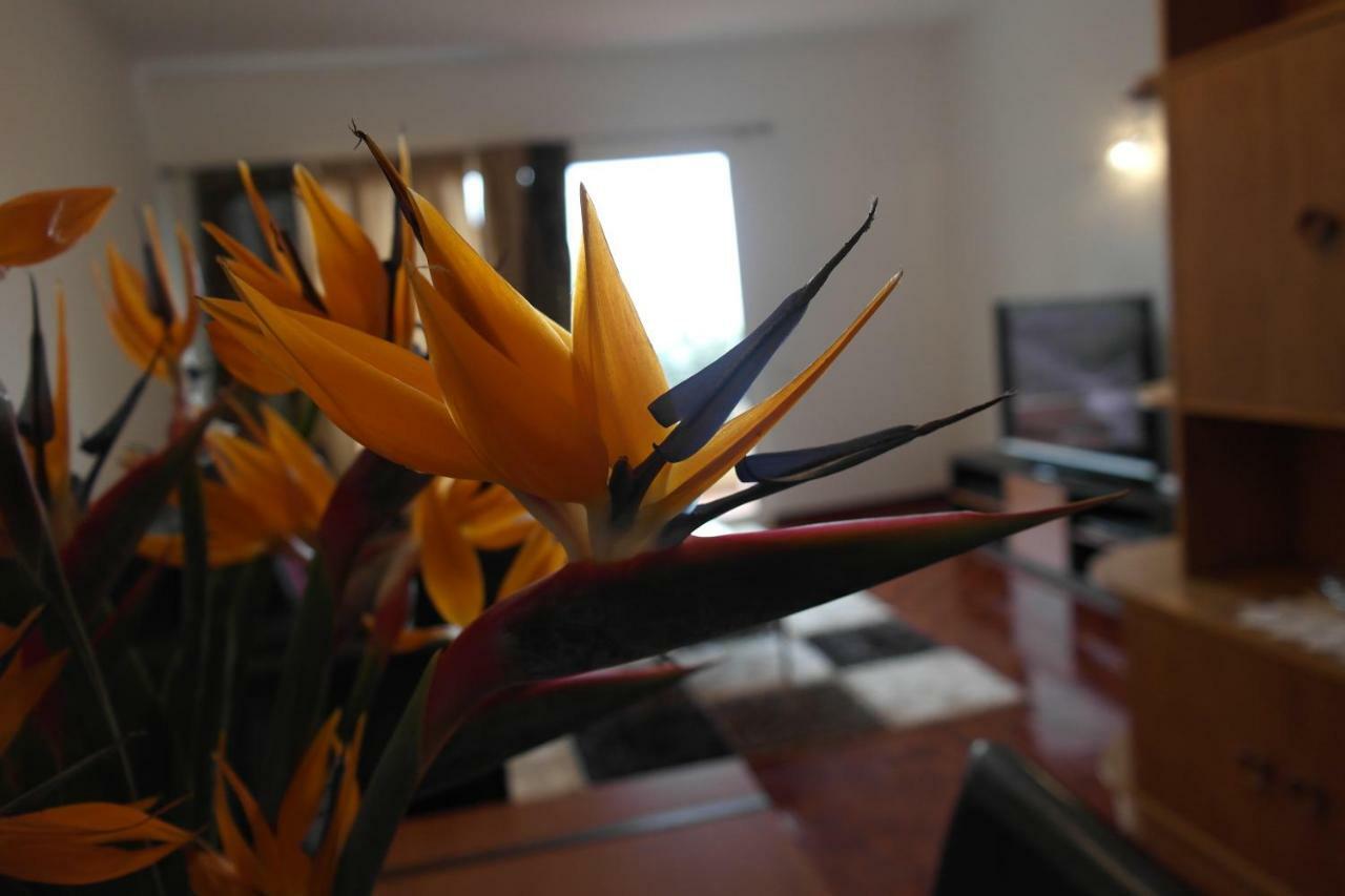 Inmaculado Apartment Funchal  Eksteriør billede